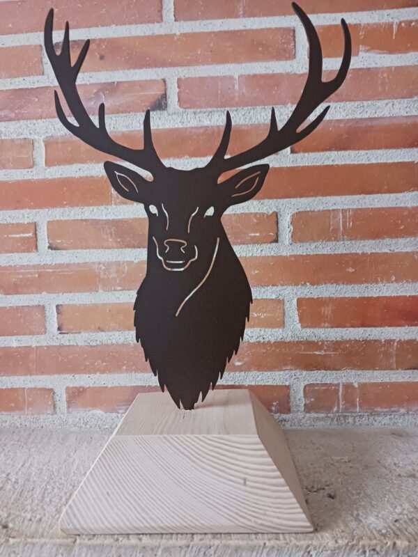 Grand trophée de cerf