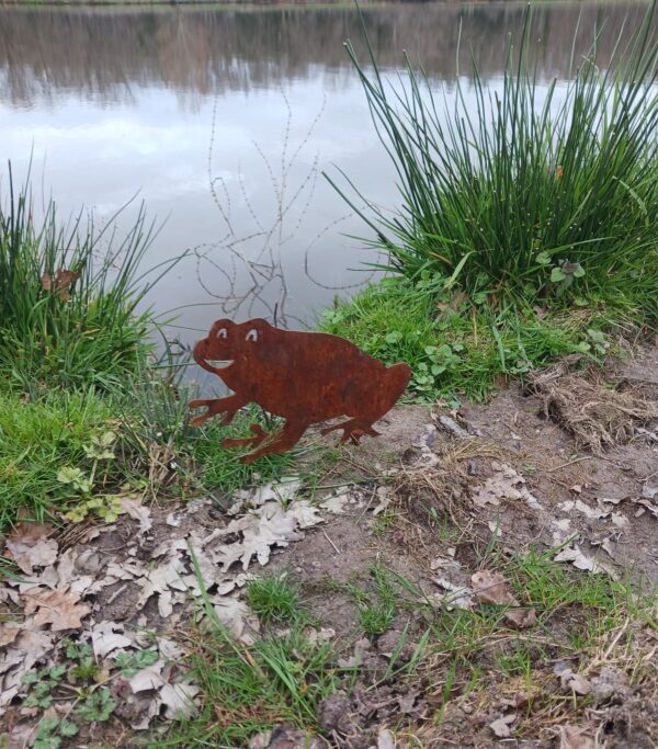 Grenouille acier rouillé – Image 2