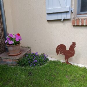 Coq en acier
