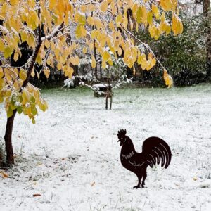 Coq en acier rouillé