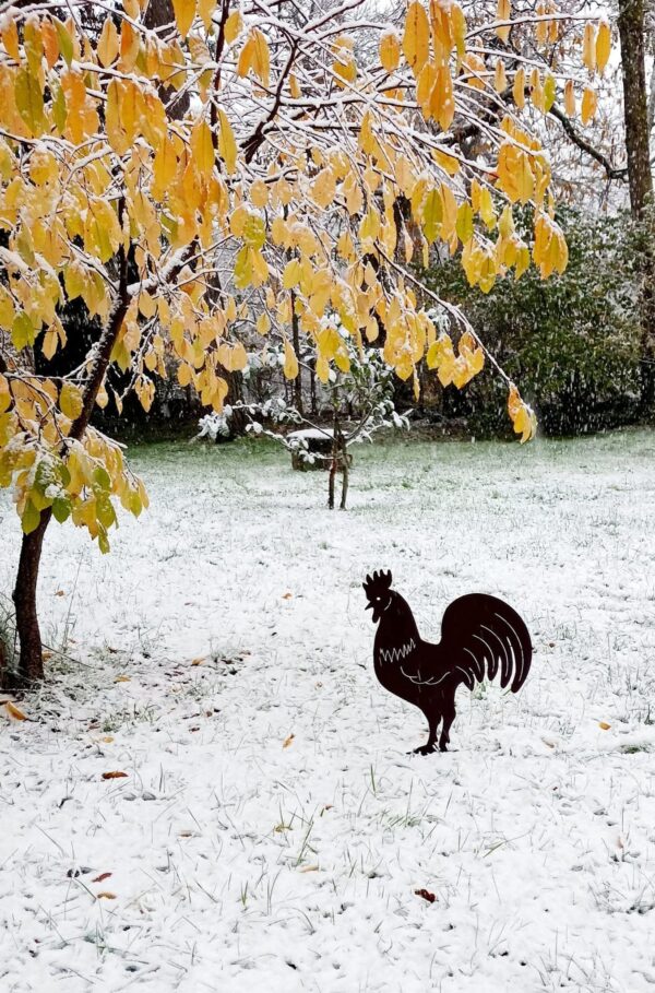 Coq en acier rouillé