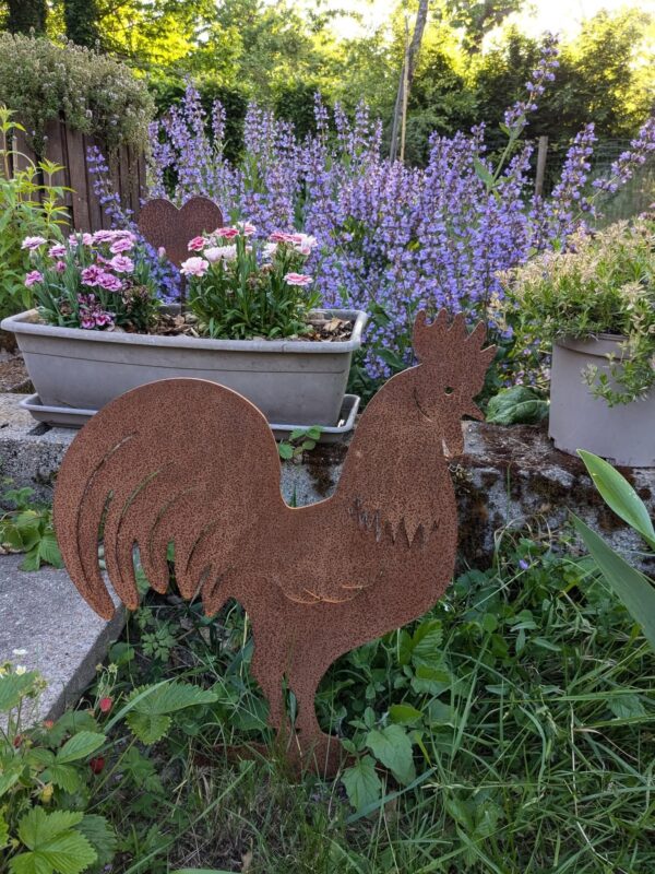 Coq en acier rouillé – Image 3
