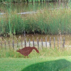 Oie tête en bas acier