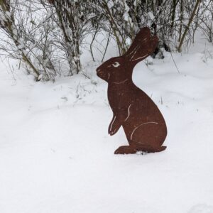 Lapin debout