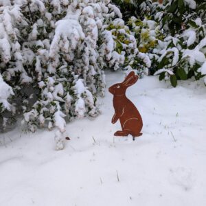 Lapin debout