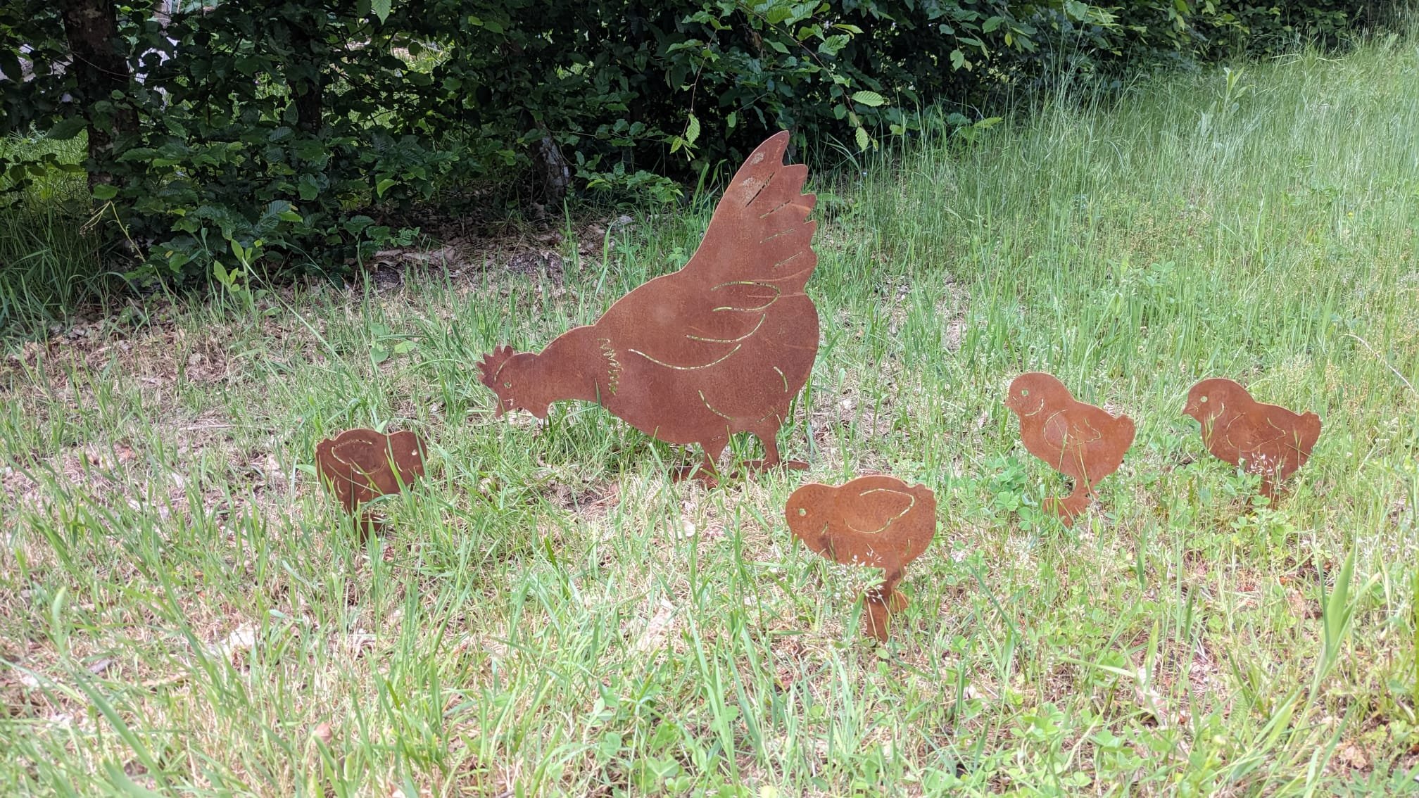 Poule qui picore – Image 3