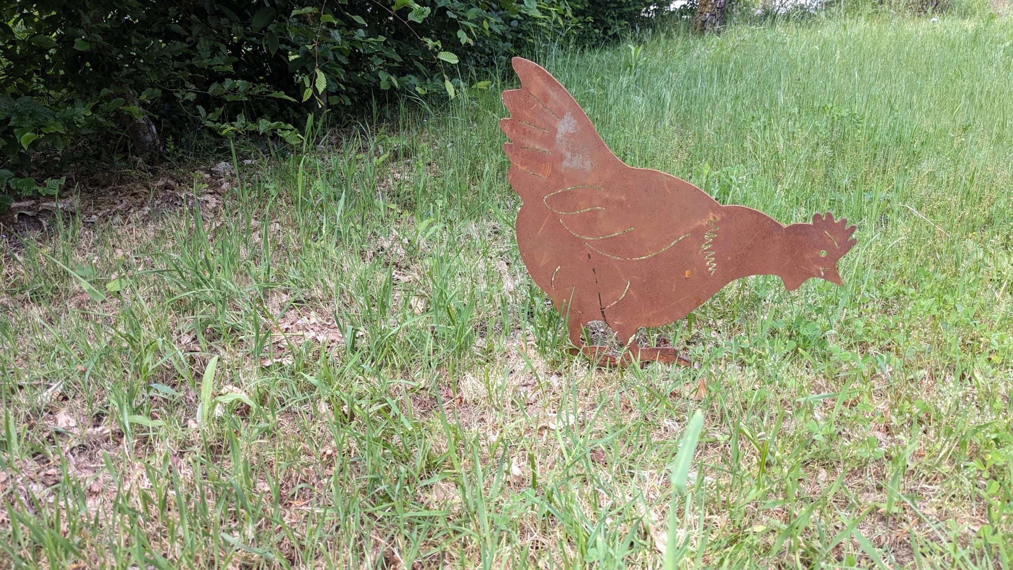 Poule qui picore – Image 2